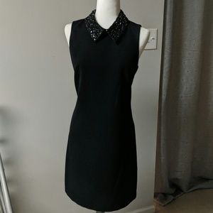 Collared Little Black Dress
